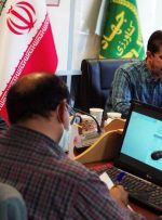 شرایط برای توسعه کشت قراردادی کلزا در استان فراهم شده است /کشت قراردادی کلزا فرصت مناسبی برای توسعه کشت الگویی است