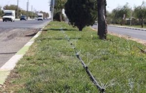 تنش آبی در فضای سبز شهری به دلیل خروج چاه‌ها از دور آبیاری
